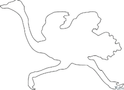 ઇમુ છાપવા યોગ્ય રંગીન પૃષ્ઠો